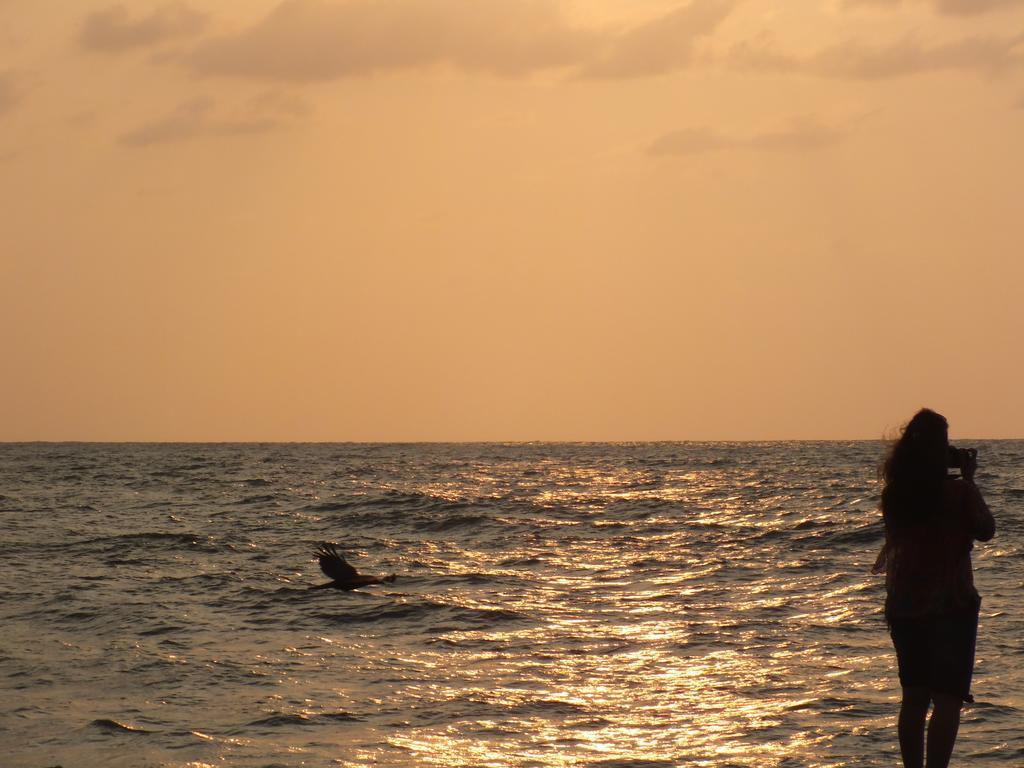 Thoms Beach Homestay Alappuzha المظهر الخارجي الصورة